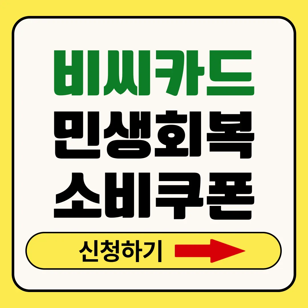 비씨카드 민생지원금