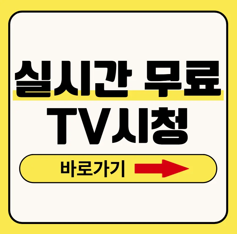 무료 실시간 TV보기