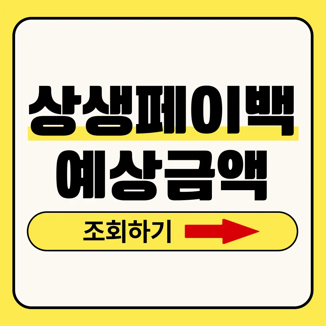 상생페이백