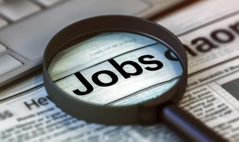 워크넷1 워크넷1