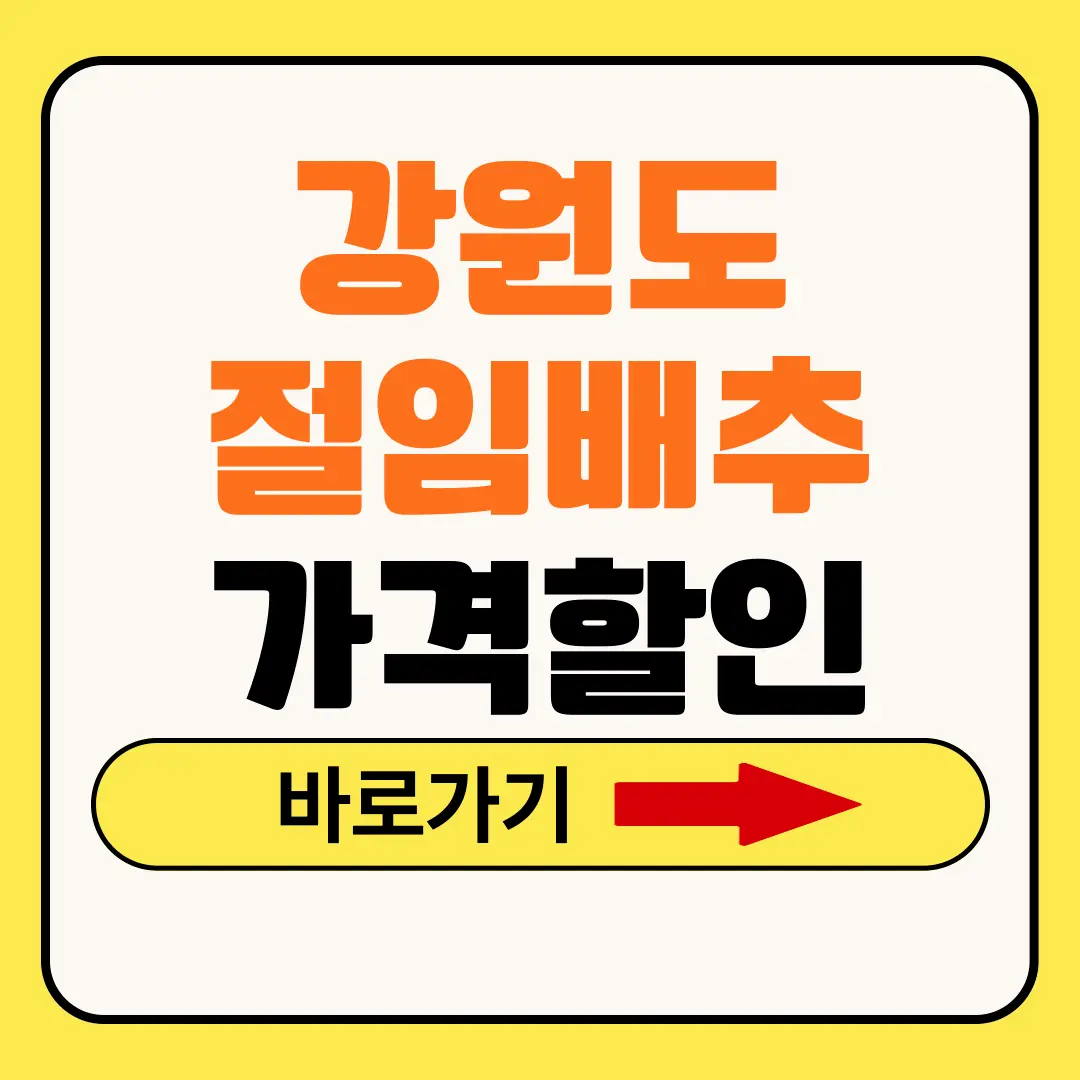 강원도 절임배추