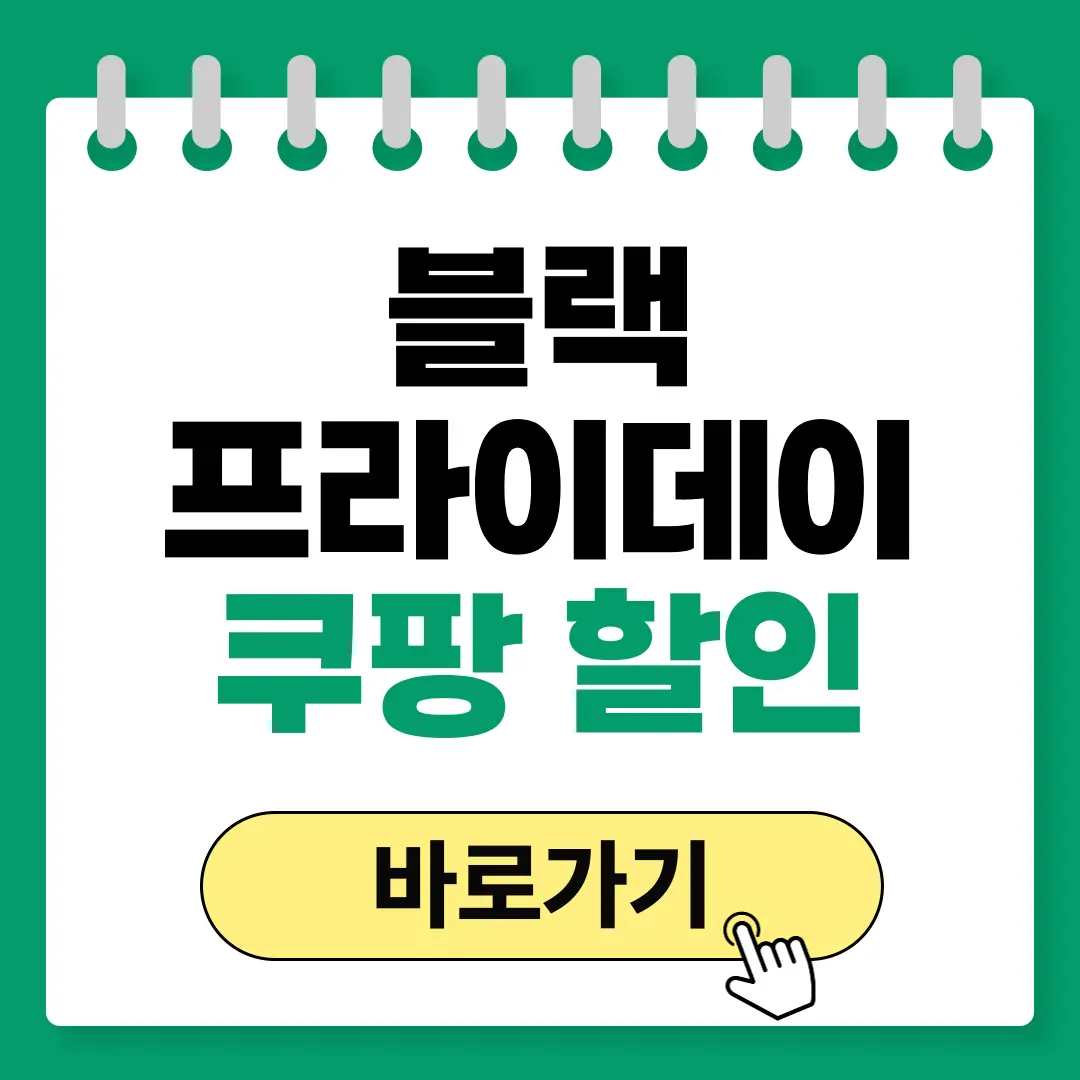 쿠팡 블랙프라이데이