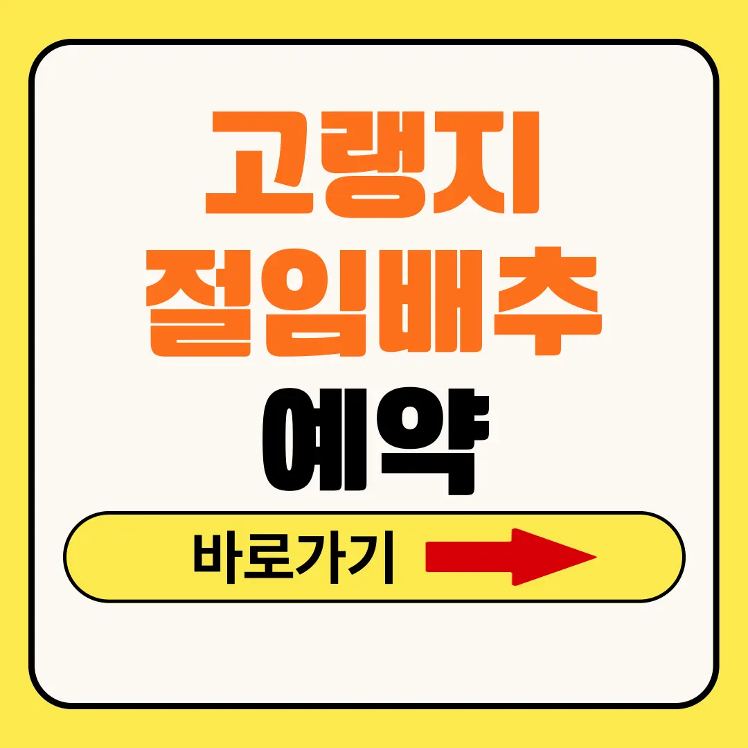 고랭지 절임배추